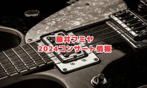 藤井フミヤコンサートチケット - コンサート