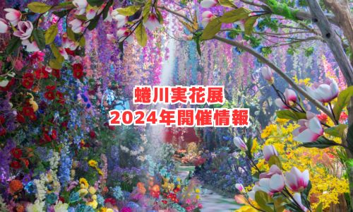 蜷川実花展の2024年開催情報